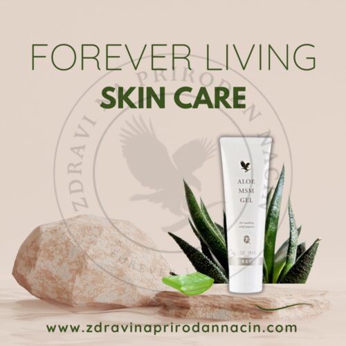 Aloe MSM Gel